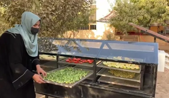 Thumbnail for Tanzania becomes Africa’s third-largest avocado producer as trade reforms improve trade transparency