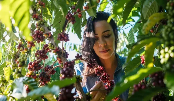 Thumbnail for Nestlé launches Buxton Peak functional drinks range in UK targeting wellness trend 