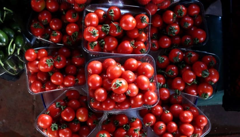 Thumbnail for Moroccan tomato export halt sparks standoff between producers, consumer groups