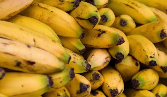 Thumbnail for Kenyan avocado prices rise fivefold as bulk buyers divert supply to cities