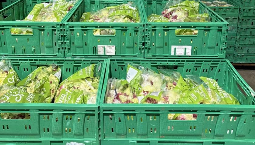 Thumbnail for Italian fresh-cut supplier Almeda builds logistics around reusable plastic crates 
