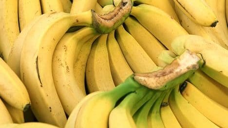 Thumbnail for Ecuador’s banana sector develops new trade routes to Saudi Arabia, Turkey amid challenges