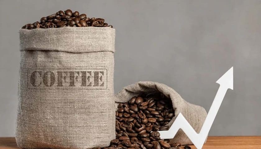 Thumbnail for Uganda Coffee shipments Up 2.9%, revenues fall 13.6% on global prices