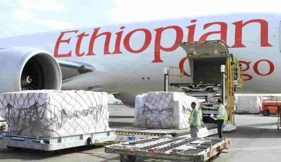 Thumbnail for Çelebi Aviation enters Kenyan market with US$40M acquisition of Transglobal Cargo Centre Ltd