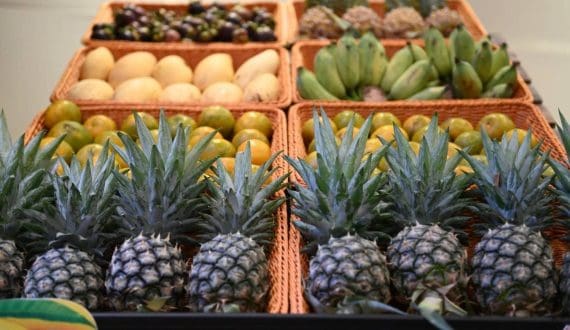 Thumbnail for Scott & Co expands into fresh produce with acquisition of Proxifresh