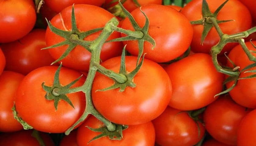 Thumbnail for Ghana tomato growers face oversupply crisis, seek buyers as storage lacks