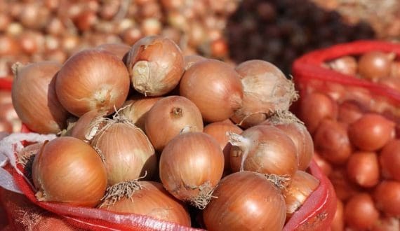 Thumbnail for Uzbekistan records world’s lowest onion price at US$0.38/Kg, shares top spot with Egypt 