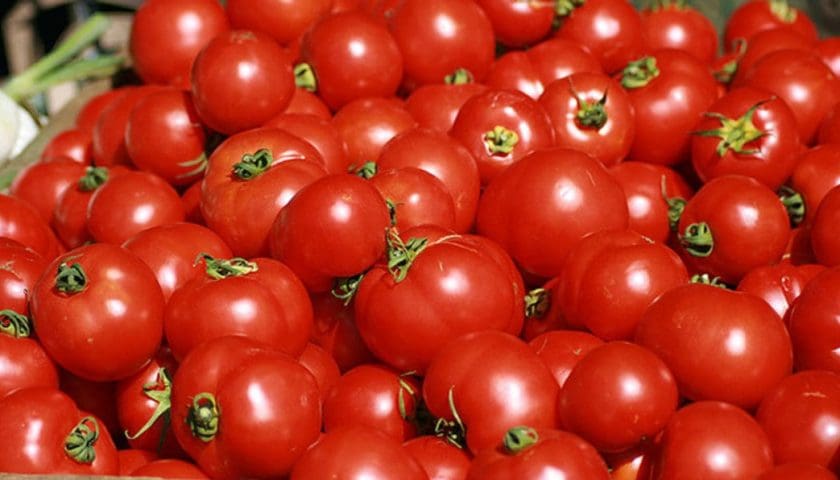 Thumbnail for Nigerian tomato prices triple as supply shortages; transport costs drive basket price to US$78