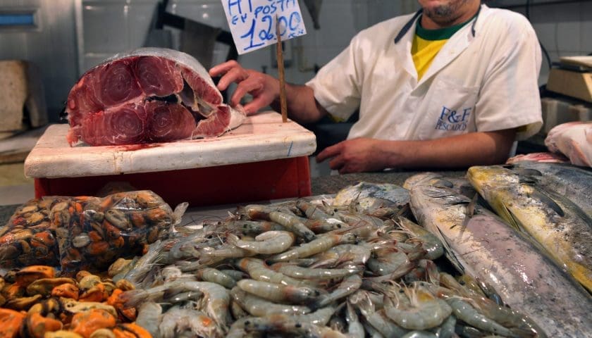 Thumbnail for Brazil seafood output passes 4.8 million tons as shrimp, tilapia and tambaqui dominate sales