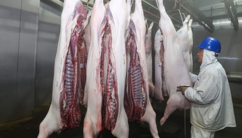 Thumbnail for Vall Companys enters Argentina pork sector deal with Pacuca