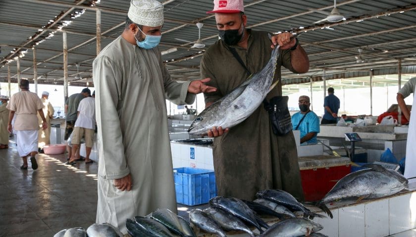 Thumbnail for Oman reports higher fish self-sufficiency as food output climbs