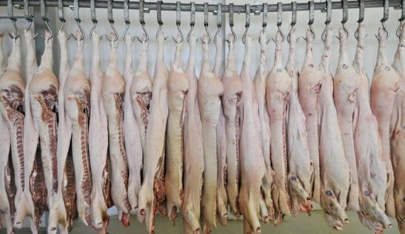 Thumbnail for Mexico halts US pork imports after virus antibodies detected in Iowa herd