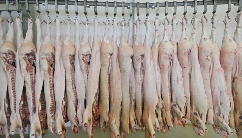 Thumbnail for China’s CPF reports lower annual profit as China pork glut continues to weigh on performance