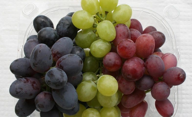 Thumbnail for South African table grape exports reach 78.3M cartons despite weather disruptions, logistics delays