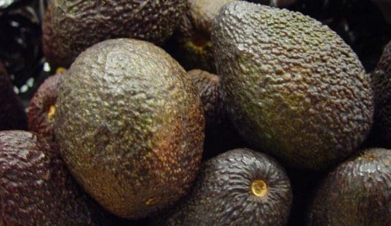 Thumbnail for Shipping crisis stalls Indian mango exports to West Asia as freight costs triple 
