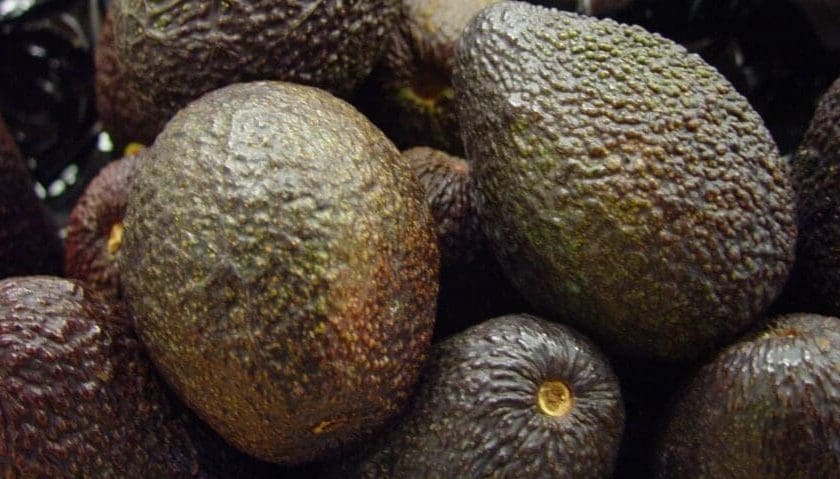 Thumbnail for Tanzania targets 235,000 tons of avocados by 2026/27 with 1.7 million seedlings 