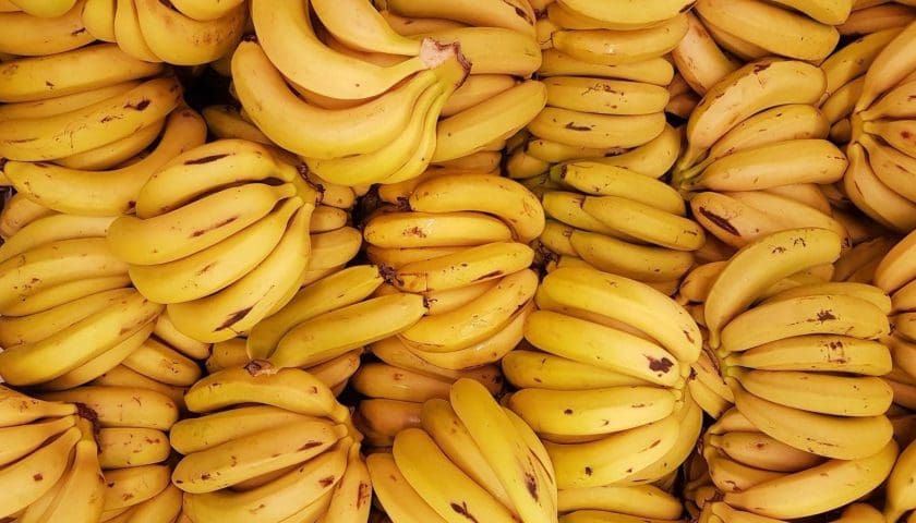 Thumbnail for Senegal targets banana self-sufficiency by 2029 as imports drop below 20%